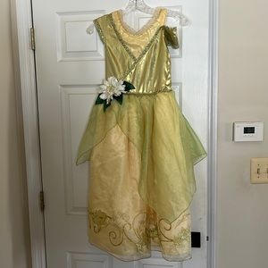 Disney Tiana costume